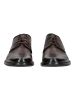 LLOYD Businessschuhe in Moro