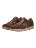 Gabor Sneaker Cacao