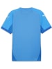Puma Sportshirt "TeamFinal Jersey" in Blau