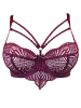 SugarShape BH Lola in wine