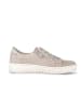 Gabor Fashion Sneaker low in grau