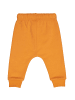 Fred´s World by GREEN COTTON Babysweathose in Tangerine