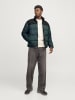 Jack & Jones Steppjacke in Magical Forest
