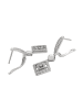 NAEMI Women Earrings in Silver