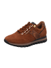 Gabor Comfort Komfort Schnürschuhe in Braun