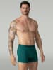 Muchachomalo 7er-Set: Boxershort in Mehrfarbig - für Herren
