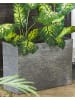 Beliani Outdoor Blumentopf EDESSA in Grau - (W) 70 x (H) 50 x (L) 29 cm