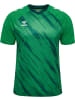 Hummel T-Shirt "Match Triumph Jersey S/S" in Grün