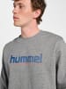 Hummel Sweatshirt Hmlgraphic Herren in GREY MELANGE