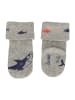 Sterntaler Baby-Socken 3er-Pack Hai in hellgrau mel.