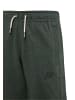 Nike Nike Shorts in galactic jade/dark smoke grey