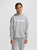 Hummel Hummel Kapuzenpullover Hmlgo Multisport Kinder in GREY MELANGE