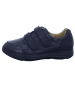 Ganter Sneaker Low in schwarz