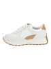 Geox Sneaker in Weiß/Beige