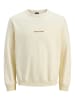 JACK & JONES Junior Sweatshirt JORNORREBRO EMB SWEAT CREW JNR in antique white