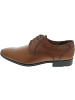 LLOYD Osmond Business Schuh Braun