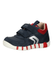 Geox Sneaker in Navy/Rot