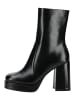 Steve Madden Stiefelette ECHOS in Schwarz/Schwarz