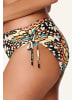 Linga Dore shorty Bikini in Butterfly print