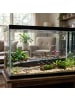relaxdays Aquarium Deko "Titanic" in Bunt - (B)38,5 x (H)9 x (T)5 cm