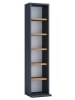 VCM  Holz CD DVD Stand Aufbewahrung Deko Regal Elementa in Anthrazit / Honig-Eiche