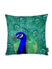 Juniqe Kissen "Pfau" in Blau & Grün