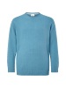 s.Oliver Pullover langarm in Blau