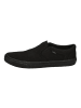 Vans Sneaker Low Asher in schwarz