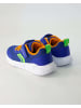 Geox Klettschuhe in Blau