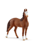Schleich Marwari Stute in Mehrfarbig ab 5 Jahre
