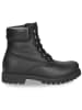PANAMA JACK Schnürstiefelette in schwarz