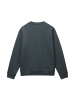 Napapijri Sweatshirt in Grün