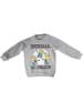 Minions Kinder Sweatshirt in Grau