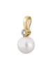 Lyomi 585/- Gold in gelb