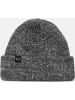 Reell Mütze "Polar Beanie" in Grau