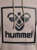 Hummel Hummel Kapuzenpullover Hmlisam Herren in DRIFTWOOD