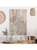 WALLART Leinwandbild - Warmes Pampasgras im Sommer in Creme-Beige