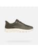 Geox Sneackers U in Military/Sage