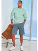 John Devin Sweatshorts in salbei