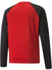 Puma Pullover "TeamLIGA Training Sweat" in Rot