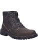 Josef Seibel Stiefelette Chance 39 in braun