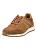 Bullboxer Sneaker in Cognac