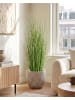 Beliani Kunstpflanze ZEBRA GRASS in Grün/Schwarz - (W) 40 x (H) 120 x (L) 40 cm
