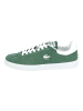 Lacoste Sneaker in Grün/Kombi