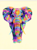 Ravensburger Malprodukte Funky Elefant CreArt Adults Trend 12-99 Jahre in bunt