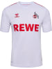 Hummel Trikot S/S 1Fck 23/24 Home Jersey S/S Kids in WHITE/TRUE RED