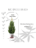 NatureNest Weihnachtsbaum im Weihnachtsmann-Topf 