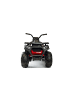 Wisam® Elektrisches Quad XMX607 lackiert
