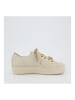 Paul Green Sneaker in Beige/Braun