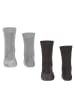 Falke Socken 4er Pack in Schwarz/Grau